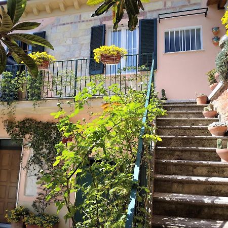 Апартаменти La Terrazza Sul Monferrato Ozzano Monferrato Екстер'єр фото